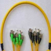 12 Fiber FC/APC FC/UPC 9/125 OS2 Singlemode Patch Cable