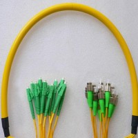 12 Fiber FC/APC LC/APC 9/125 OS2 Singlemode Patch Cable