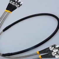 Indoor/Outdoor 4 Fiber ST ST Patch Cable 50/125 OM2 Multimode