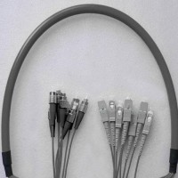 8 Fiber Armored Breakout FC SC 62.5 Multimode Patch Cable