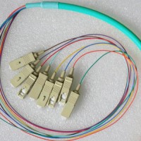 8 Strand SC/PC Bunch Breakout Pigtails 50/125 OM4 Multimode