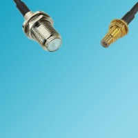 SMC Bulkhead Male to F Bulkhead Female RF Cable