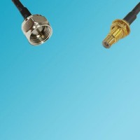SMC Bulkhead Male to F Male RF Cable