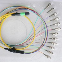 12 Fiber MTP/APC FC 9/125 OS2 Singlemode Fanout Patch Cable