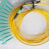 12 Fiber MPO/APC LC 9/125 OS2 Singlemode Fanout Patch Cable