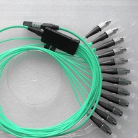 12 Fiber MPO FC 50/125 OM3 Multimode Fanout Patch Cable