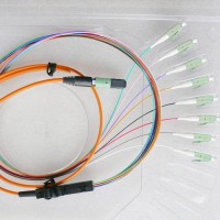 8 Fiber MTP LC 50/125 OM2 Multimode Fanout Patch Cable