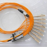 8 Fiber MPO LC 50/125 OM2 Multimode Fanout Patch Cable