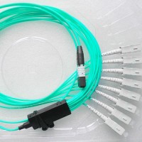 8 Fiber MPO SC 50/125 OM3 Multimode Fanout Patch Cable