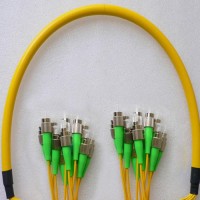 12 Fiber FC/APC FC/APC 9/125 OS2 Singlemode Patch Cable