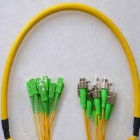 12 Fiber FC/APC SC/APC 9/125 OS2 Singlemode Patch Cable