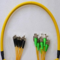 12 Fiber FC/APC ST/UPC 9/125 OS2 Singlemode Patch Cable