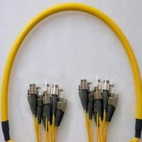 12 Fiber FC/UPC FC/UPC 9/125 OS2 Singlemode Patch Cable