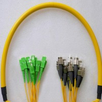 12 Fiber FC/UPC SC/APC 9/125 OS2 Singlemode Patch Cable