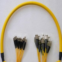 12 Fiber FC/UPC ST/UPC 9/125 OS2 Singlemode Patch Cable
