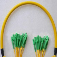 12 Fiber LC/APC LC/APC 9/125 OS2 Singlemode Patch Cable