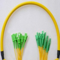 12 Fiber LC/APC SC/APC 9/125 OS2 Singlemode Patch Cable