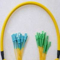 12 Fiber LC/APC SC/UPC 9/125 OS2 Singlemode Patch Cable