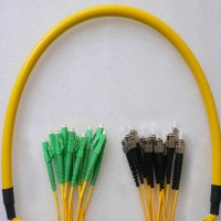 12 Fiber LC/APC ST/UPC 9/125 OS2 Singlemode Patch Cable