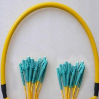 12 Fiber LC/UPC LC/UPC 9/125 OS2 Singlemode Patch Cable