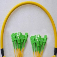 12 Fiber SC/APC SC/APC 9/125 OS2 Singlemode Patch Cable