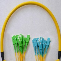 12 Fiber SC/APC SC/UPC 9/125 OS2 Singlemode Patch Cable