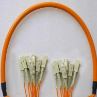 12 Fiber SC/PC SC/PC 62.5/125 OM1 Multimode Patch Cable