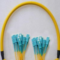 12 Fiber SC/UPC SC/UPC 9/125 OS2 Singlemode Patch Cable