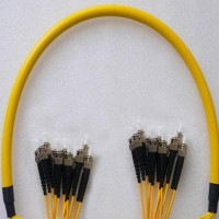 12 Fiber ST/UPC ST/UPC 9/125 OS2 Singlemode Patch Cable