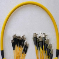 24 Fiber FC/UPC ST/UPC 9/125 OS2 Singlemode Patch Cable