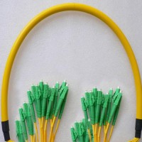 24 Fiber LC/APC LC/APC 9/125 OS2 Singlemode Patch Cable