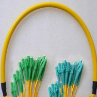 24 Fiber LC/APC LC/UPC 9/125 OS2 Singlemode Patch Cable