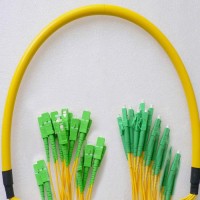 24 Fiber LC/APC SC/APC 9/125 OS2 Singlemode Patch Cable