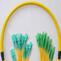 24 Fiber LC/APC SC/UPC 9/125 OS2 Singlemode Patch Cable
