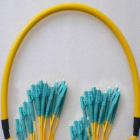 24 Fiber LC/UPC LC/UPC 9/125 OS2 Singlemode Patch Cable