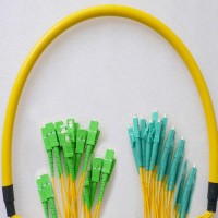 24 Fiber LC/UPC SC/APC 9/125 OS2 Singlemode Patch Cable