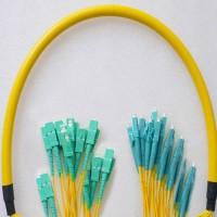 24 Fiber LC/UPC SC/UPC 9/125 OS2 Singlemode Patch Cable