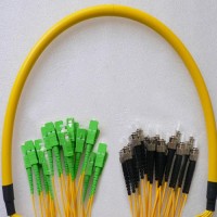 24 Fiber SC/APC ST/UPC 9/125 OS2 Singlemode Patch Cable