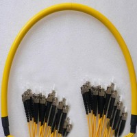 24 Fiber ST/UPC ST/UPC 9/125 OS2 Singlemode Patch Cable