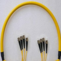4 Fiber ST/UPC ST/UPC 9/125 OS2 Singlemode Patch Cable