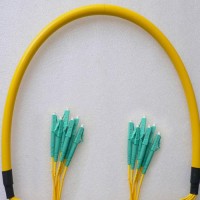 6 Fiber LC/UPC LC/UPC 9/125 OS2 Singlemode Patch Cable