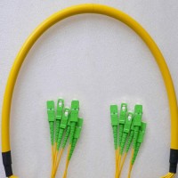 6 Fiber SC/APC SC/APC 9/125 OS2 Singlemode Patch Cable