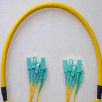 6 Fiber SC/UPC SC/UPC 9/125 OS2 Singlemode Patch Cable