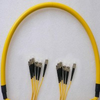 6 Fiber ST/UPC ST/UPC 9/125 OS2 Singlemode Patch Cable