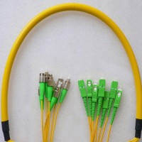 8 Fiber FC/APC SC/APC 9/125 OS2 Singlemode Patch Cable