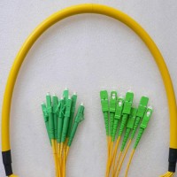 8 Fiber LC/APC SC/APC 9/125 OS2 Singlemode Patch Cable