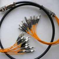 12 Strand FC FC 62.5 Multimode Outdoor Waterproof Patch Cable