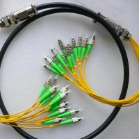 12 Strand FC/APC FC/APC Singlemode Outdoor Waterproof Patch Cable