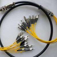 12 Strand FC/UPC FC/UPC Singlemode Outdoor Waterproof Patch Cable