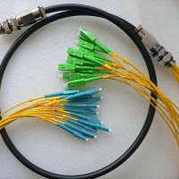 12 Strand LC/UPC SC/APC Singlemode Outdoor Waterproof Patch Cable